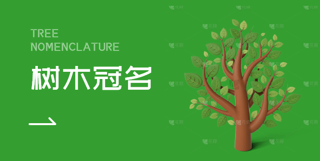 树木冠名